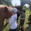 2022 Horseback Riding